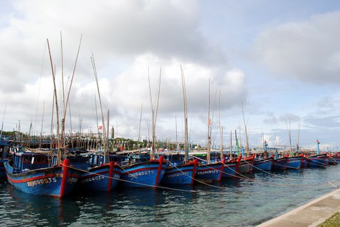 Tin bão số 14 (siêu bão Haiyan): Miền Trung căng sức chống bão, quân đội sẵn sàng - ảnh 4