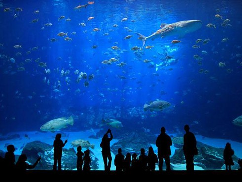 Khám phá trung tâm giải trí, mua sắm mới hấp dẫn phía nam Hà Nội - ảnh 1