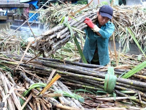 Bầu Đức bị tố