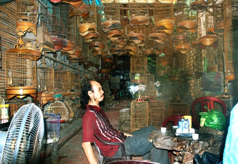 Thú chơi chim, thú tốn kém bạc tỷ của đại gia - ảnh 2