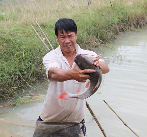 Giàu nhờ cá lăng quý hiếm trên dòng Sêrêpôk - ảnh 1
