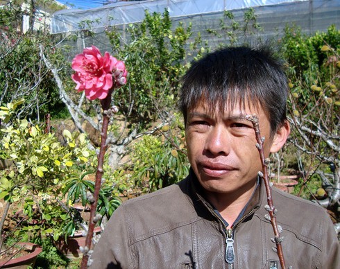 Chiêm ngưỡng cây đào khủng ghép từ 5 loài hoa - ảnh 1