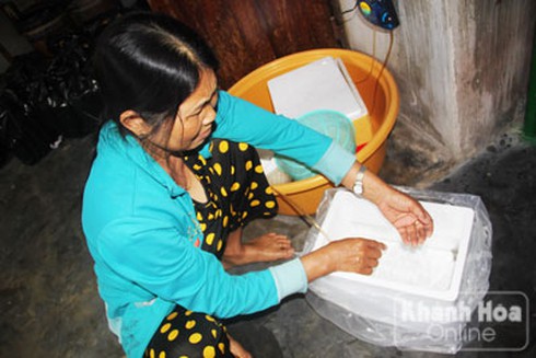 Bám biển theo thợ săn tôm bạc triệu - ảnh 4