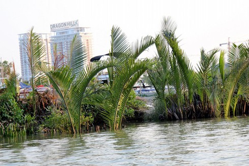 Du thuyền hạng sang đậu đầy kênh rạch Sài Gòn - ảnh 6