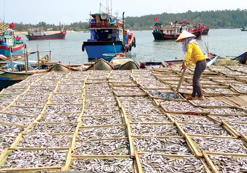 Đẹp mắt, nhộn nhịp mùa cá khô lớn nhất năm ở làng biển - ảnh 1