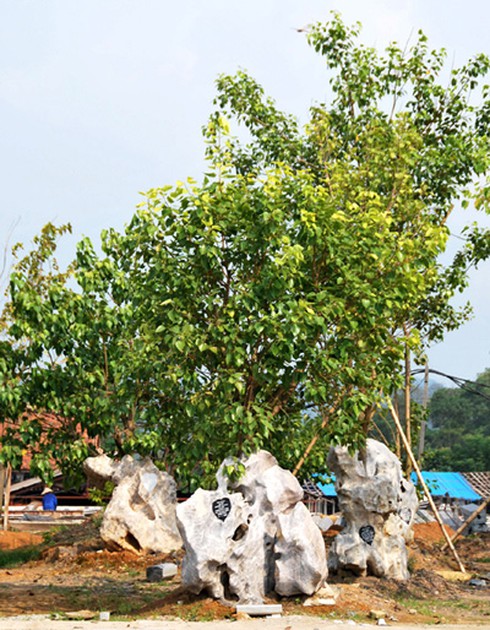 Bí ẩn tỷ phú chi ngàn tỷ xây dựng Bái Đính - Tràng An - ảnh 6