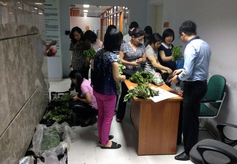 Đánh xe chở rau sạch đến tận công sở bán lẻ - ảnh 1