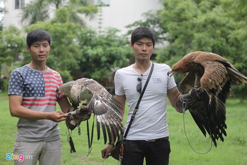 9X nuôi đại bàng hơn 200 triệu/con - ảnh 1