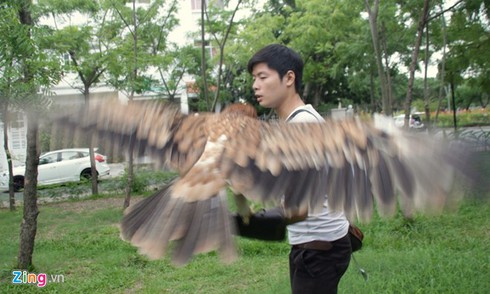 9X nuôi đại bàng hơn 200 triệu/con - ảnh 4