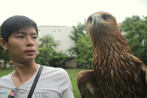 9X nuôi đại bàng hơn 200 triệu/con - ảnh 5