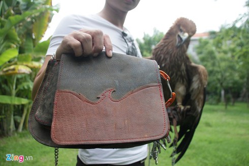 9X nuôi đại bàng hơn 200 triệu/con - ảnh 8