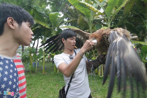 9X nuôi đại bàng hơn 200 triệu/con - ảnh 11