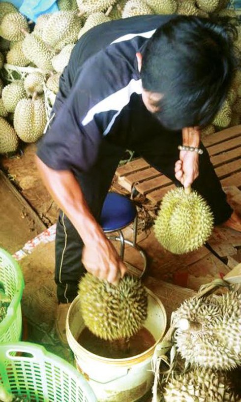 Khiếp sợ trái cây đặc sản cả tháng vẫn tươi ngon - ảnh 1