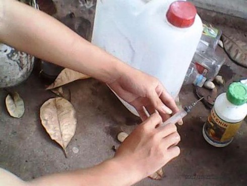 Khiếp sợ trái cây đặc sản cả tháng vẫn tươi ngon - ảnh 2