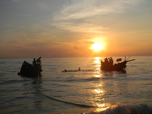 Ảnh đẹp ngư dân Lệ Thuỷ được mùa vụ cá Nam - ảnh 1