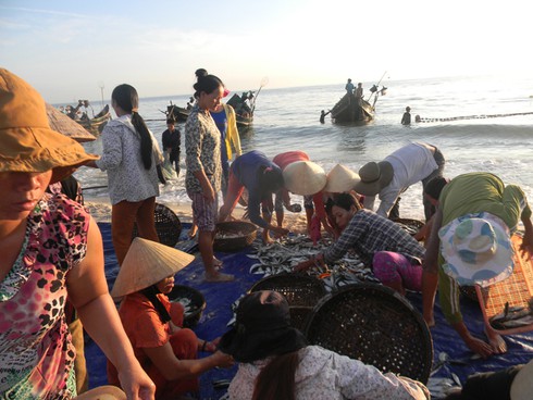 Ảnh đẹp ngư dân Lệ Thuỷ được mùa vụ cá Nam - ảnh 3