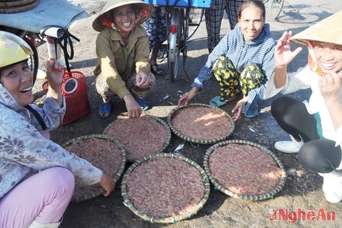 Mùa tép biển ngon nhất miền Trung - ảnh 1