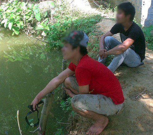 Dùng thuốc độc Trung Quốc để bắt ong rừng - ảnh 3