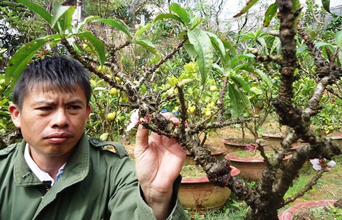 Đào thất thốn