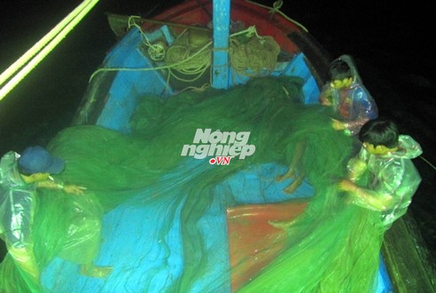 Thu hơn 2 tỷ trong 3 tuần nhờ