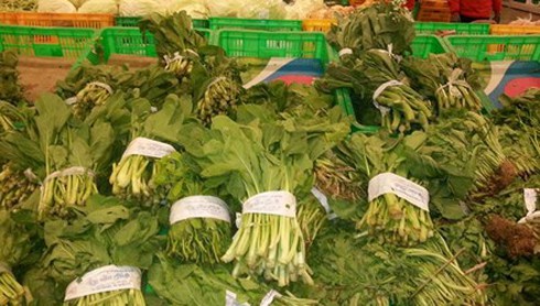 Siêu thị lớn cố tình mua rau bẩn: Gian dối gặp nhau - ảnh 1