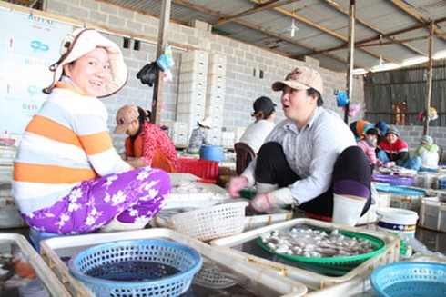 Cảng cá đìu hiu mùa gió chướng - ảnh 1