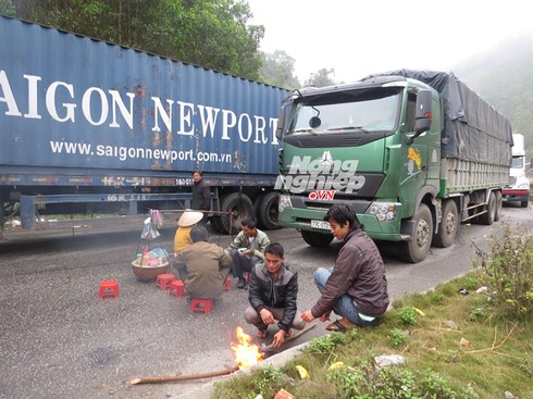 Lạng Sơn kẹt cứng xe chở hoa quả miền Nam chờ thông quan - ảnh 4