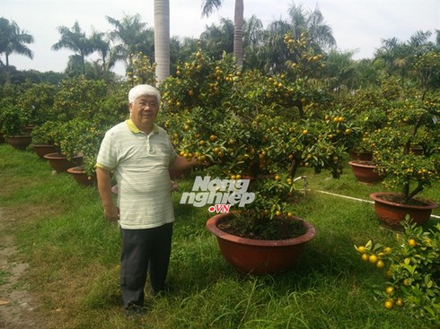 Lãi chục tỷ từ quất bonsai - ảnh 1
