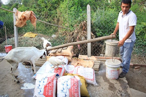 Chuyện lạ Sài Gòn: Thuê Dê chơi Tết - ảnh 2