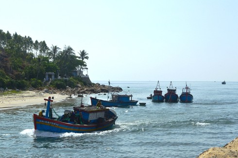 Báo bão, tàu thuyền không biết neo đậu vào đâu? - ảnh 1