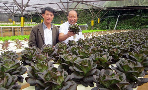 Giấc mơ đưa nông sản Đà Lạt ra thế giới - ảnh 1