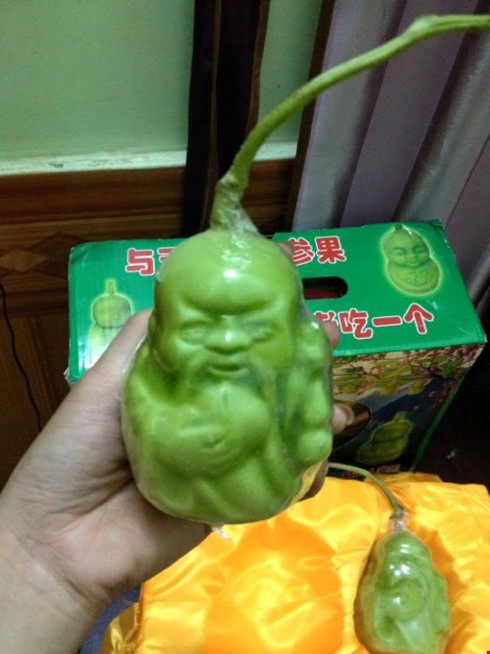 Trái cây tạo hình từ Trung Quốc - ảnh 1