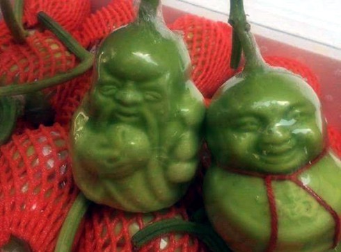 Dưa thần tài Trung Quốc: Rẻ vẫn ế vì