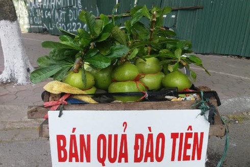 Dưa thần tài Trung Quốc: Rẻ vẫn ế vì