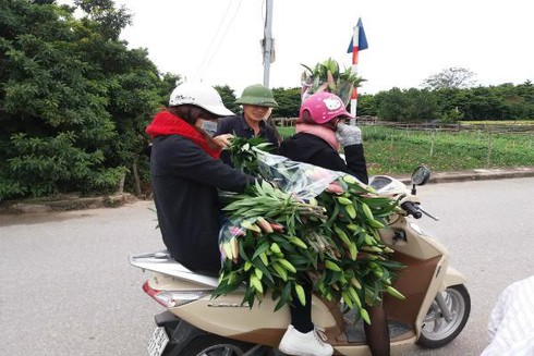 Vỡ nợ vì hoa - ảnh 4