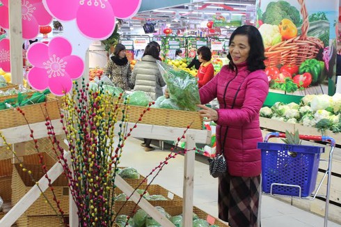 VinEco ra mắt Bộ sản phẩm Rau Củ Quả Tết Bính Thân 2016 - ảnh 1