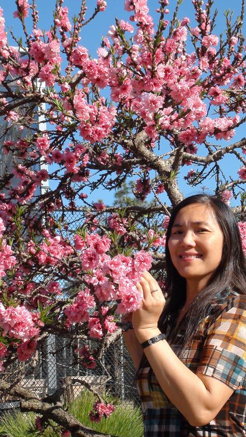 Shop TIN mồng 2 tết Bính Thân: Mệnh lệnh của lãnh đạo và yêu cầu của nhân dân - ảnh 12