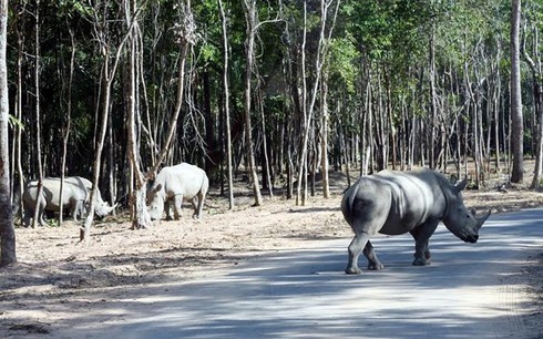 Phó GĐ Sở NNPTNT Kiên Giang: Không có động vật quý hiếm chết tại Vinpearl Safari - ảnh 1