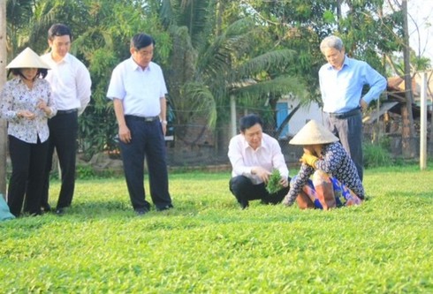 Ông Vương Đình Huệ: Chính khách lên rừng, xuống biển với nông dân - ảnh 1