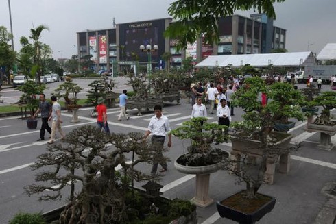 Lễ hội sinh vật cảnh lớn nhất Việt Nam tại Vinhomes Riverside - ảnh 2