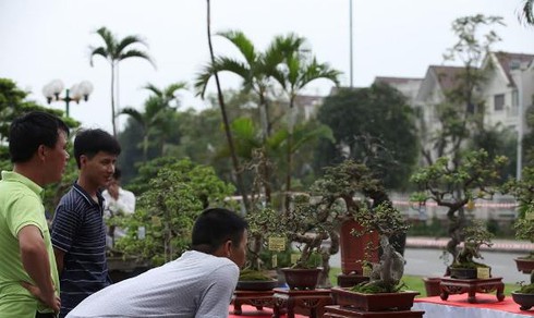 Lễ hội sinh vật cảnh lớn nhất Việt Nam tại Vinhomes Riverside - ảnh 3