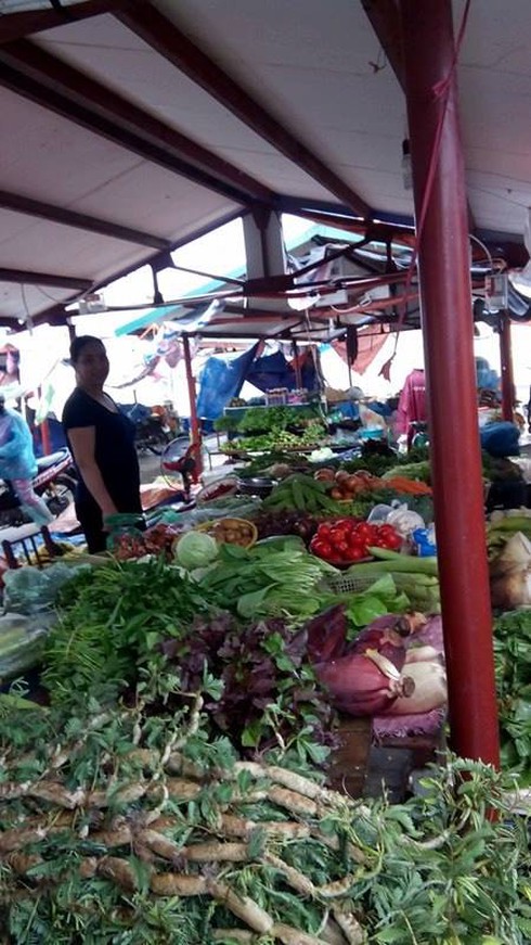 Rau xanh đội giá, đồng ruộng xơ xác sau khi bão tan - ảnh 1