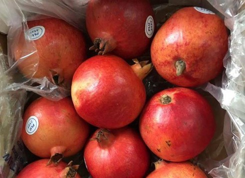 Lựu khổng lồ 350.000 đồng/kg vẫn đắt khách - ảnh 1
