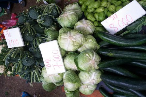 Không để hàng lậu, tồn dư chất độc hại tuồn vào thị trường nội địa - ảnh 1