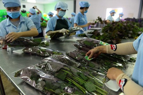 Mùa hè đáng nhớ tại nơi