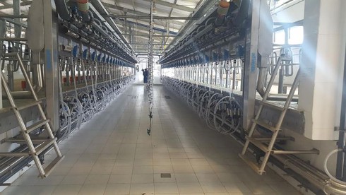 Tập đoàn TH khánh thành trung tâm vắt sữa trại bò sữa số 8 - ảnh 1