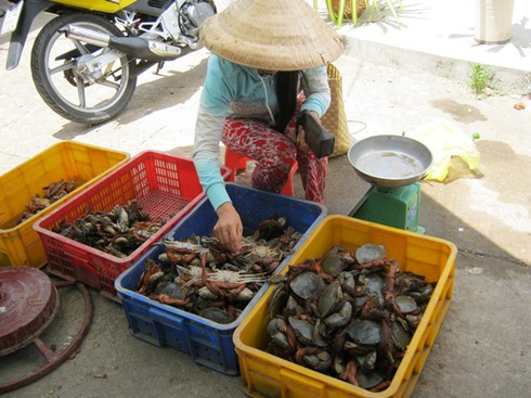 Giá thực phẩm lên xuống thất thường - ảnh 2