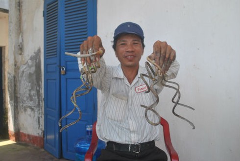 Bộ móng tay như