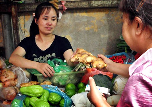 Phát hiện mẫu gừng TQ nhiễm thuốc trừ sâu cực độc - ảnh 1