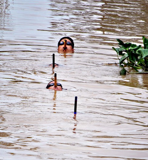 Xem đặc công Quân khu 9 vượt qua bài huấn luyện nguy hiểm - ảnh 2